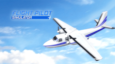 flight pilot simulator 3d poster