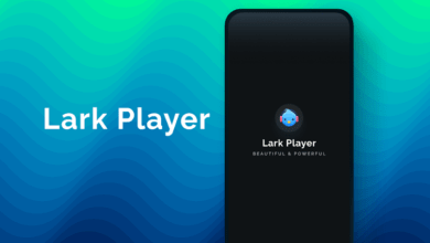 lark player poster