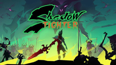 shadow fighter poster