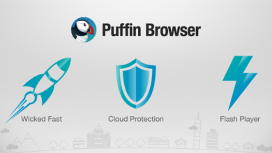 puffin web browser poster