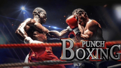 punch boxing 3d poster